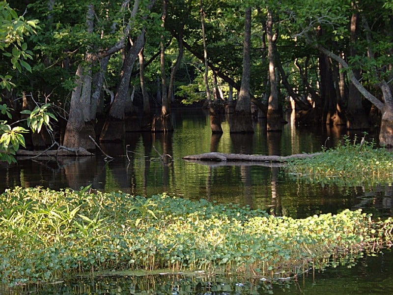 JBE’s Secret Taxpayer-Funded “Medical Center” at Chicot State Park