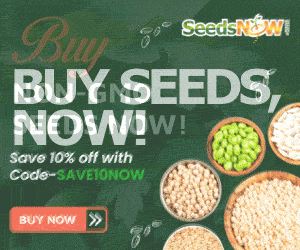 Buy Seeds Now